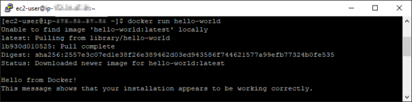Confirm that the Docker "hello world" container runs