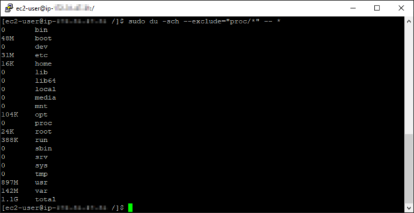 Amazon Linux 2 EC2 instance disk usage
