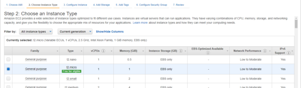 Choose the t2.micro instance type