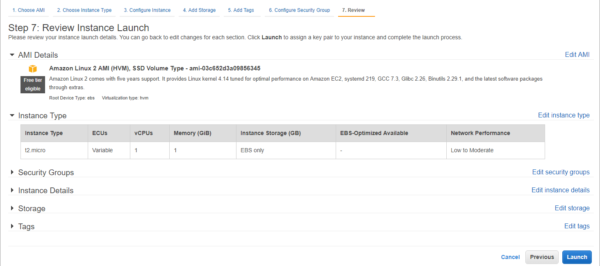 Preview the instance settings and launch the EC2