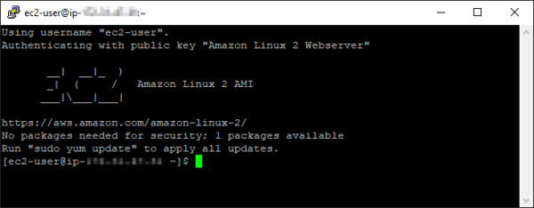 Successful EC2 SSH connection via the Elastic IP